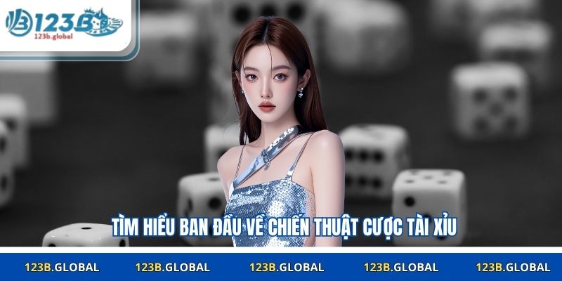 Tìm hiểu ban đầu về chiến thuật cược tài xỉu